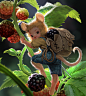 "Blackberry Hunter" , St. Cygnus : Start something small