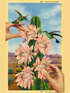 插画分享44｜东西怪奇大观园Julia Lillard
