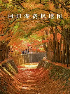 河口湖赏枫地图来啦！4大红叶景点推荐 - 小红书