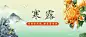 寒露节气祝福问候菊花手绘首图