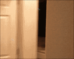Mr·huang采集到GIF