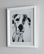 Black-and-White Dog Prints|Neiman Marcus