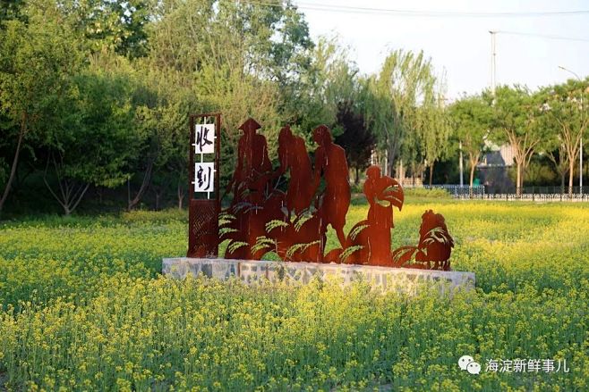 V游记|北坞公园的田园景观_雕塑 : 北...