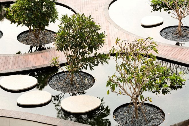 浅水池及水中树池