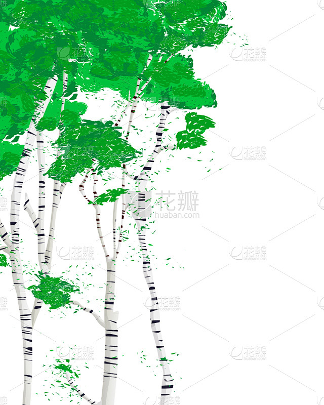 贺卡,白桦树,罗马尼亚,模板,植物,白桦,天空,绘画插图,小树林,自然