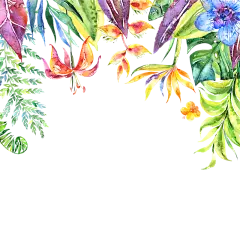 #水彩#、#花卉#、#素材#、#炫彩#