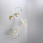 Lure Sconce in Polished Brass by Pelle 3