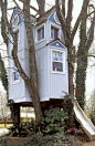 cool treehouse