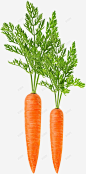 蔬菜果蔬菜篮子玉米 创意素材