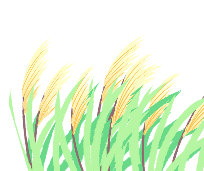 手绘水彩芦苇丛植物透明背景免抠PNG图案...
