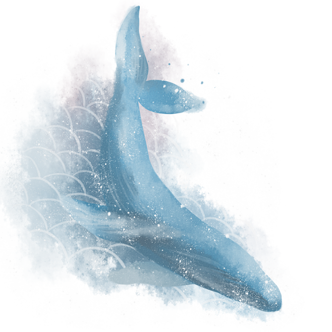 _蓝色水彩鲸鱼
