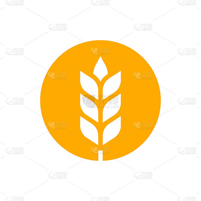 小麦或大麦轮廓图标。粮食的象征。矢量插图。
