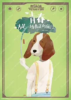 3比格犬-青春