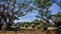 肯尼亚，从安波塞利国家公园眺望乞力马扎罗山的景象 - 搜索