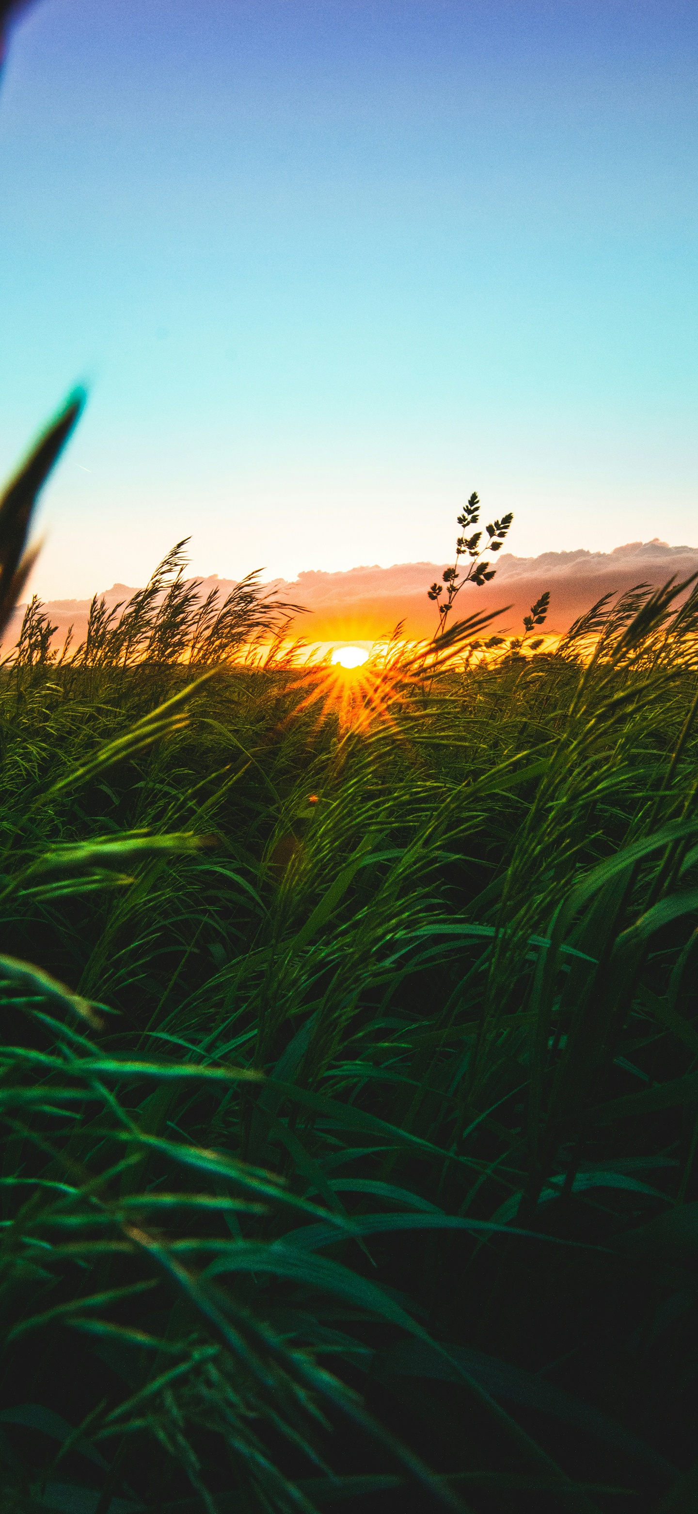 又发现一张还不错的手机壁纸