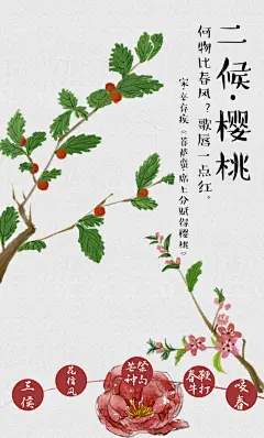 24节气系列h5，立春，二十四番花信风，二候樱桃