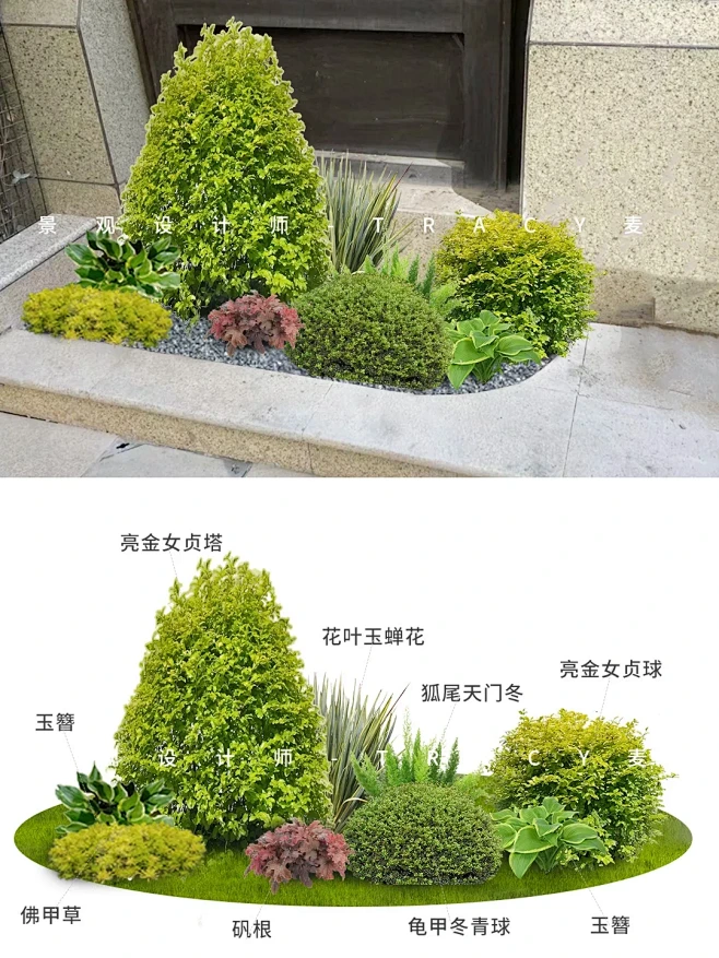 秋冬极简小花镜花园花坛植物搭配方案清单 - 小红书-花瓣网