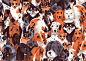 A Pack of Dogs on Behance