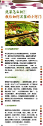 【蔬菜怎么挑才不会被骗？9张图告诉你】挑菜可是门大学问，这篇集合贴大家一定要认真看，用心珍藏哟，别被无良商贩坑了哟，学会做菜之前得先学会如何挑菜！@跟我做私房菜