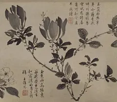 明  周之冕   百花图（局部）  故宫博物院藏

　　《百花图》系周之冕的晚年之作。该图勾画了四季花卉，其中木本花卉多为折枝。画家将吴派的写意山水笔墨转化为花鸟画的造型语言，形成了勾花点叶派。周之冕以写意的手法勾写或涂抹出花叶、枝干，随意之中透露着明快和清雅，反映出文人画家淡泊不羁的胸臆。