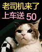 双11狂欢女装会场-上天猫，就够了