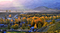 新疆白哈巴的秋色迷情