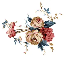 手绘花卉、手绘花卉、花卉、手绘、插画、素材、淡雅、牡丹、圆桌、张根硕