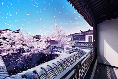 yunshilai采集到参考灵感