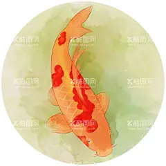 鲤鱼  - 源文件下载【酷图网】鲤鱼,锦鲤,手绘锦鲤,手绘鲤鱼,鲤鱼素材,年画,鱼