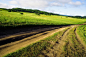 乌兰木统草原道路图片