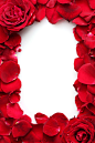 红色玫瑰花框图片