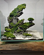 This may contain: a glass case with moss growing on the rocks and trees in it, sitting on top of a wooden table