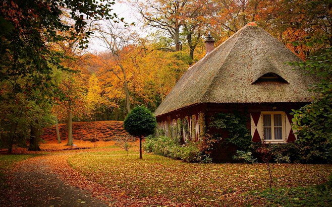 童话般的景色 最漂亮的森林小屋-焦点频道...