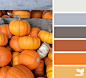 pumpkin palette