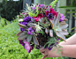 多肉植物 婚礼花束 花艺设计师 (5)