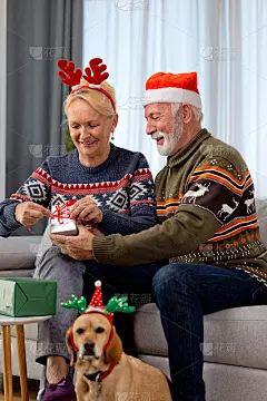 老夫妇和戴着圣诞老人帽子的黄狗一起在家里包装圣诞礼物