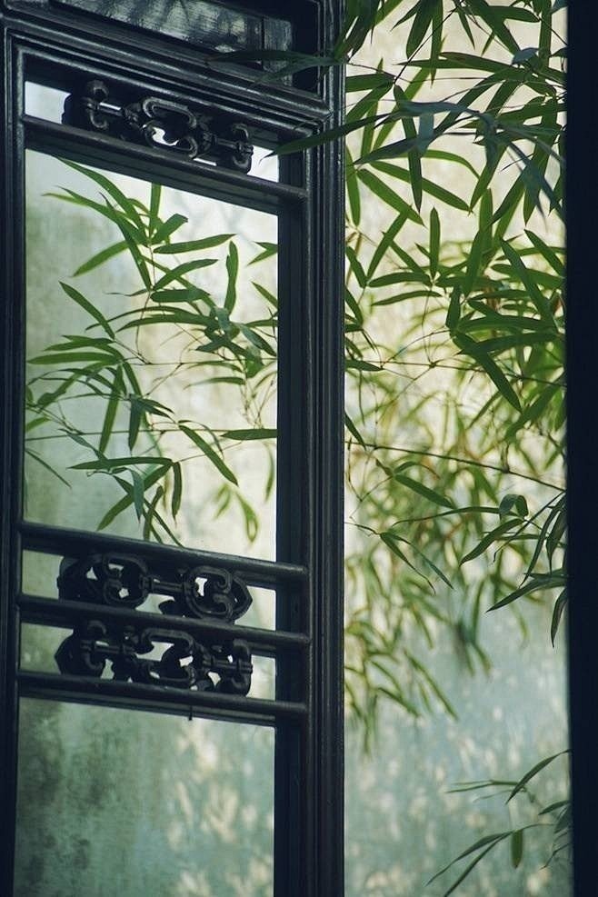 窗前一丛竹，清翠独言奇。 南条交北叶，新...