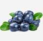 蓝莓图片素材png免抠素材_新图网 https://ixintu.com 蓝莓 水果 蓝色 营养 健康 维生素C 产品实物 绿叶