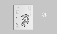 做美工的第一天采集到卡片