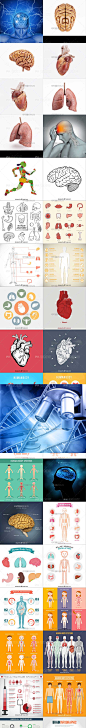 4006科研大脑医学生物学扁平化图标PPT肺肝脏器官人体骨骼DNA心脏- #素材# #Logo# #科研# #汇报#
