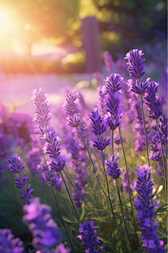 蓝旭晨采集到花、植物