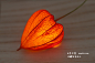 原创手工博文: 植物の灯-日本川村忠晴 Kawamura Tadaharu的创意植物灯