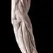 Male Anatomical Arm by Jean Antoine Houdon