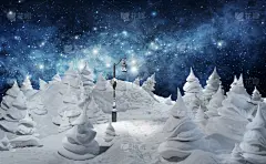 贺卡,模板,自然,冬天,雪,杉树,背景,冰,地形
