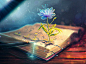General 3118x2333 books