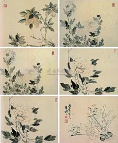 罗聘——花果图 册页欣赏  |  
清|罗聘(1733-1799)，&quot;扬州八怪&quot;之一。字遯夫，号两峰，又号衣云、花之寺僧、金牛山人、师莲老人等。祖籍安徽歙县，后迁扬州。为金农入室弟子，人物、佛像、山水、花果、梅、兰、竹等，无所不工，笔调奇创，超逸不群，别具一格。妻方婉仪，字白莲，亦擅画梅兰竹石，并工于诗。子允绍、允缵，均善画梅，人称&quot;罗家梅派&quot;。
