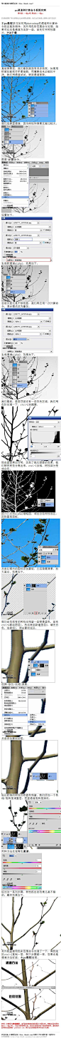 #通道抠图#《photoshop通道和计算命令抠图实例》 本 ps教程 学习如何用photoshop的通道和计算命令抠出复杂物体，另外用色彩范围命令处理，结果对比还是通道方法好一些，首先打开树枝图片。 PSD下载 复 教程：http://www.16xx8.com/plus/view.php?aid=28027&pageno=all
