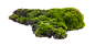 草丛1