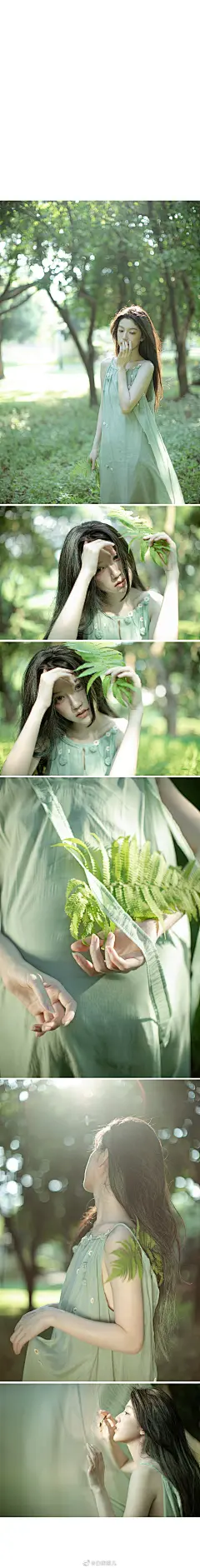 @白鹤雙儿 的个人主页 - 微博