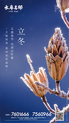 冬日朝阳采集到节日素材